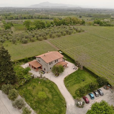 Agrituirsmo Masseria Campierti Falciano del Massico Bagian luar foto