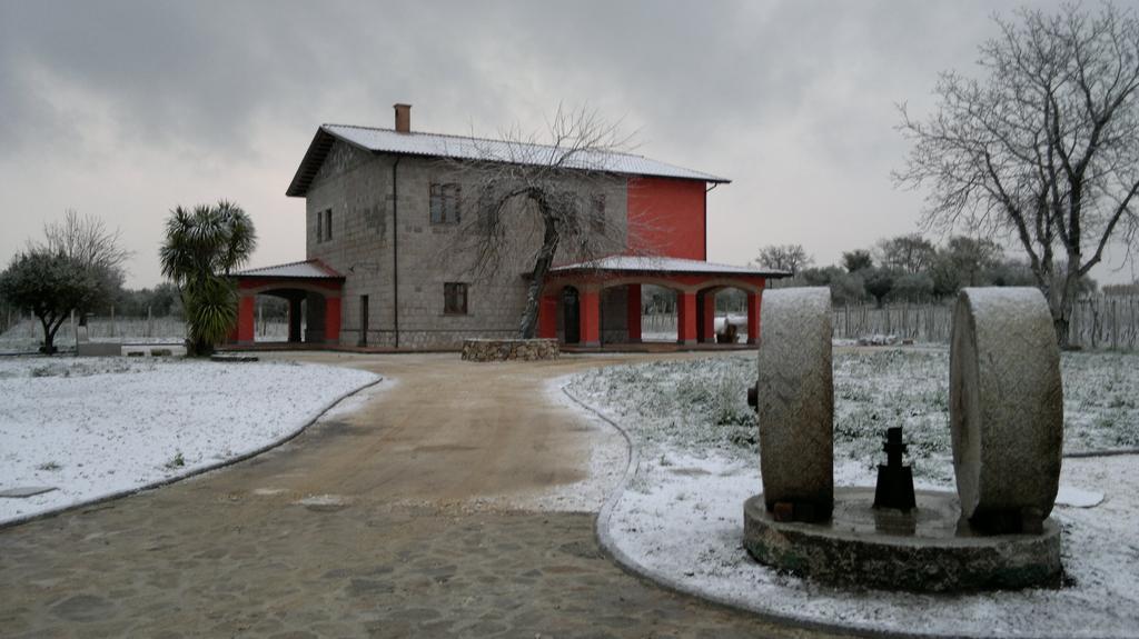Agrituirsmo Masseria Campierti Falciano del Massico Bagian luar foto