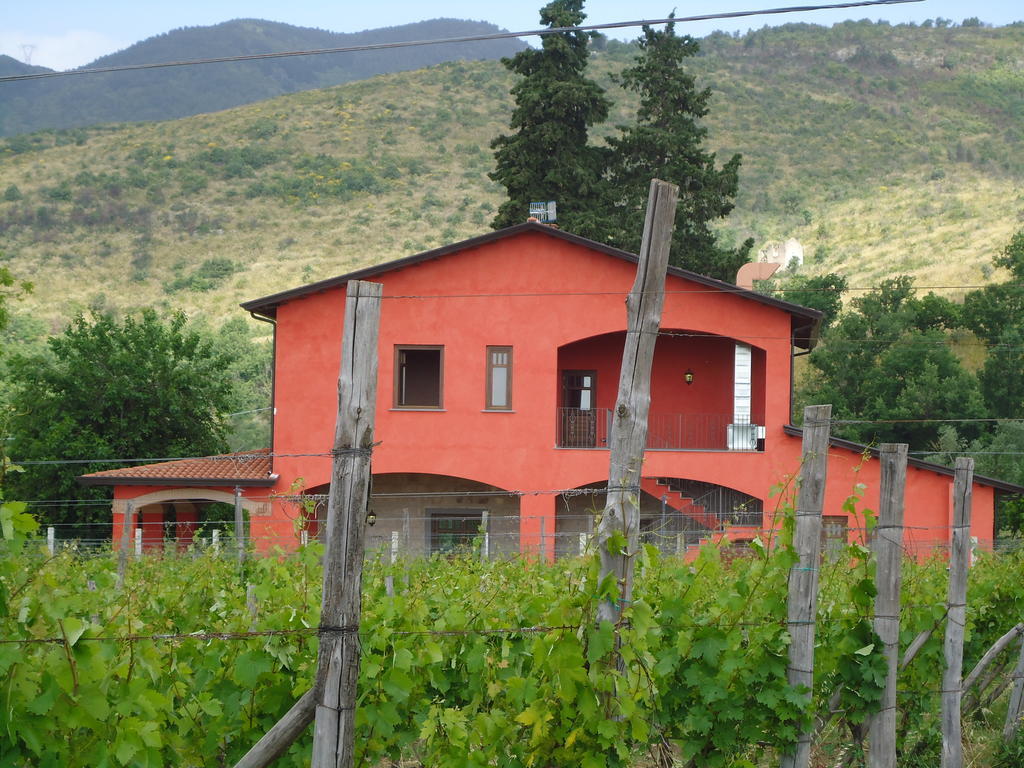 Agrituirsmo Masseria Campierti Falciano del Massico Bagian luar foto